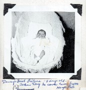 David Dorrough;